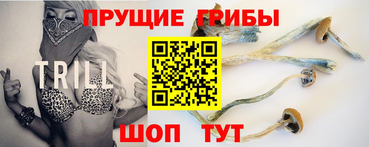 Подольск  Псилоцибиновые грибы мухоморы  Вход с VPN 